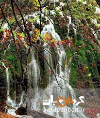 درخت آبشاری در مونته نگرو!+عکس
