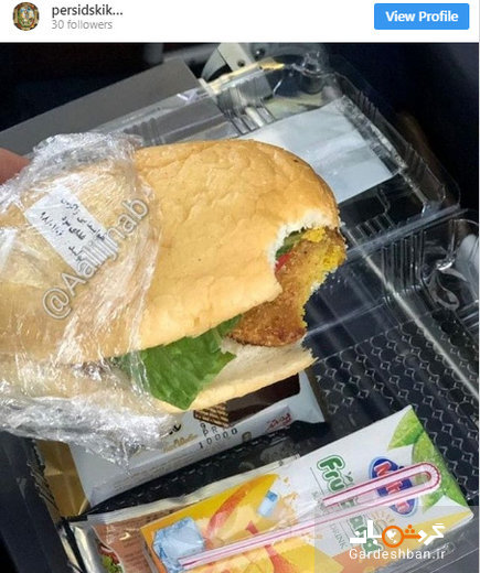 وعده غذایی فلافل در هواپیمای ایرانی!+عکس
