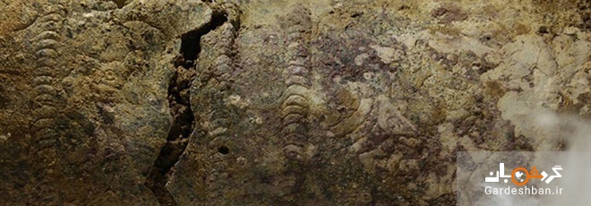 کشف جام ۳ هزار ساله در استان اردبیل / جزئیات اشیاء کشف شده از یک گور تاریخی +عکس