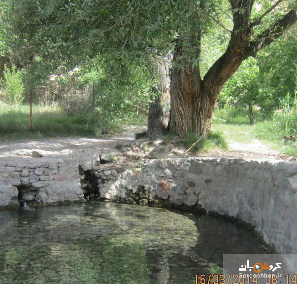 چشمه دریابک در مسیر جاده فیروزکوه/عکس