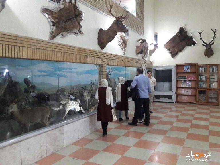 موزه تاریخ طبیعی زنجان+تصاویر