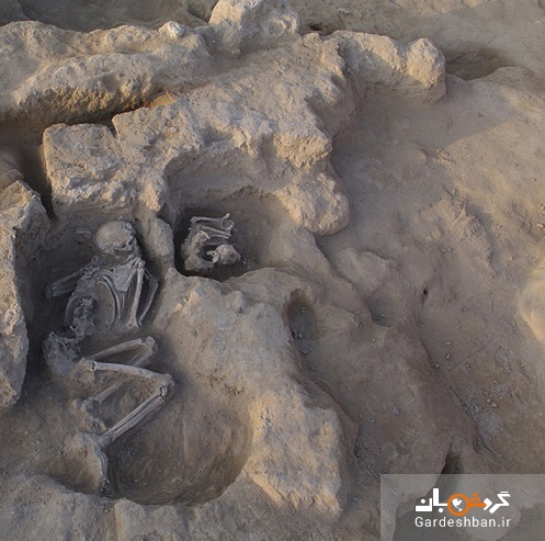کشف گورهایی با محتوا کله و پاچه برای مردگان/ انواع مرده‌گذاری در ایران باستان