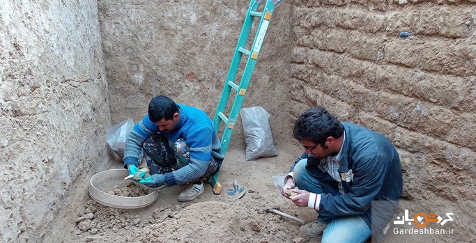 کشف گورهایی با محتوا کله و پاچه برای مردگان/ انواع مرده‌گذاری در ایران باستان