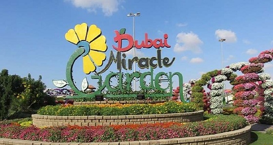 باغ معجزه دبی؛ بزرگترین باغ گل طبیعی جهان+تصاویر