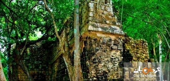 کاخی متعلق به تمدن مایا‌ در دل جنگل های مکزیک/تصاویر