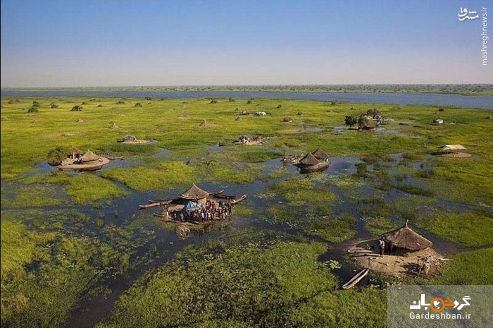 باتلاق مسکونی جالب در سودان جنوبی/عکس