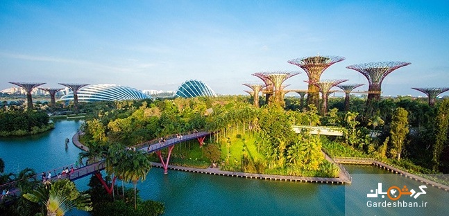 باغ های خلیج؛ پارکی زیبا و هیجان انگیز در سنگاپور+تصاویر