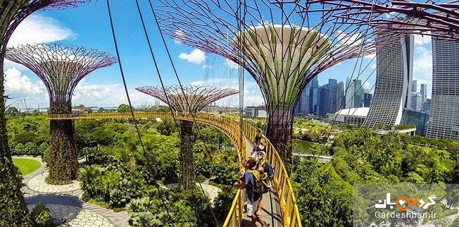 باغ های خلیج؛ پارکی زیبا و هیجان انگیز در سنگاپور+تصاویر