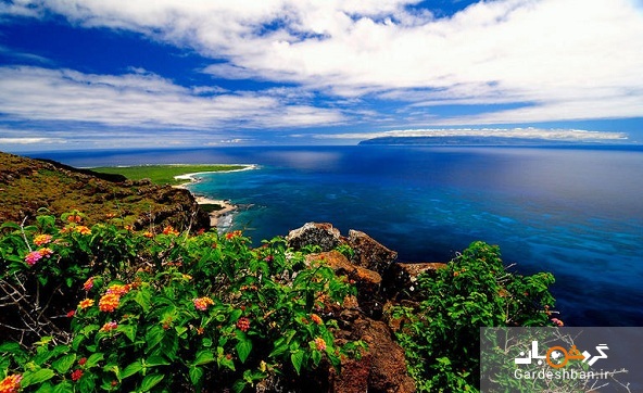 زیبایی های وصف نشدنی جزیره نیهاو در هاوایی/عکس