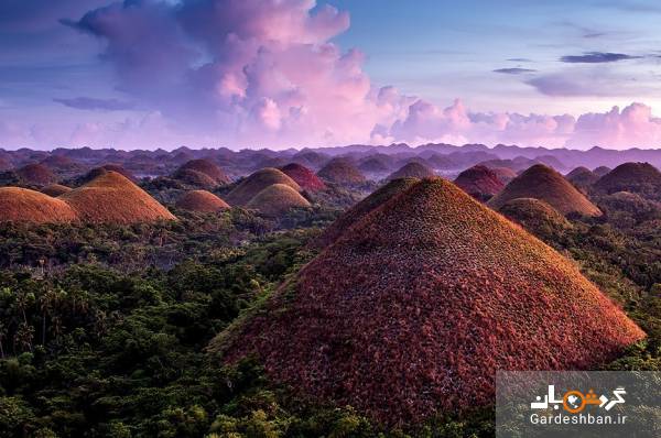 تپه های شکلاتی ؛ جاذبه عجیب فیلیپین/عکس