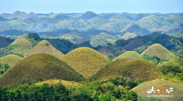 تپه های شکلاتی ؛ جاذبه عجیب فیلیپین/عکس