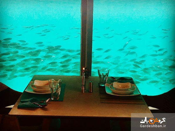 نخستین رستوران زیر آب خاورمیانه در جزیره کیش/یک وعده غذایی همراه با تماشای دنیای زیر آب خلیج فارس