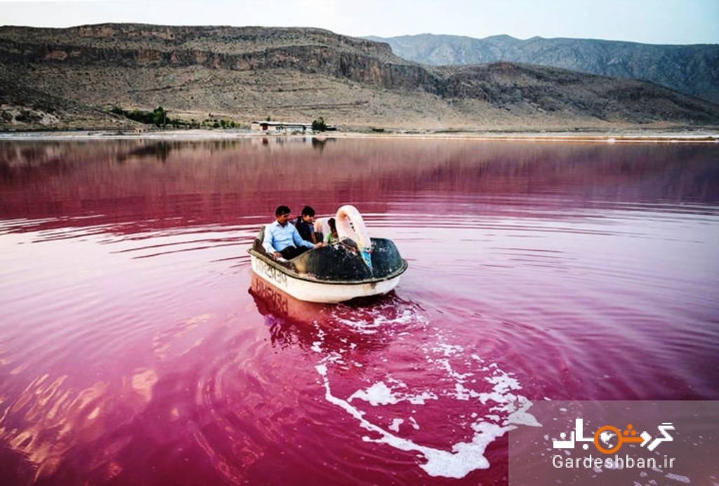 عامل رنگ صورتی و قرمز دریاچه مهارلو شیراز چیست؟+عکس
