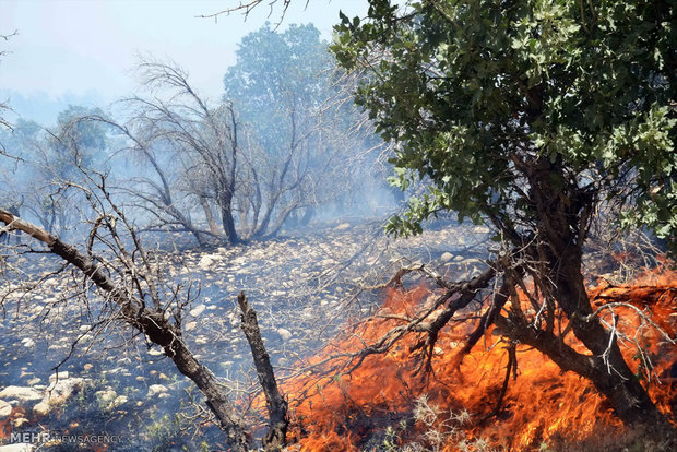 آتش‌سوزی گسترده جنگل‌های خائیز را فرا گرفت