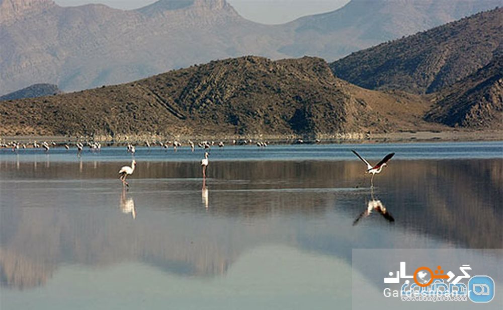 دیدنی های منحصربفرد دریاچه بختگان/عکس