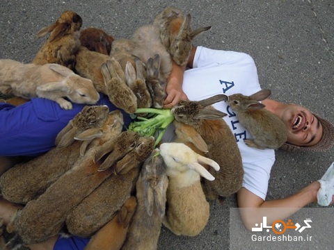 جزیره‌ توریستی خرگوش ها؛تفریحی شاد و به یادماندنی/تصاویر