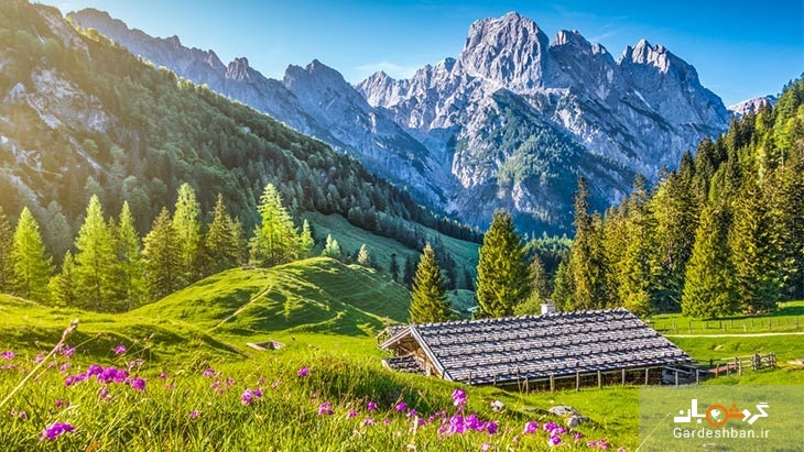 تنها پارک ملی سوئیس در رشته کوه آلپ + تصویر