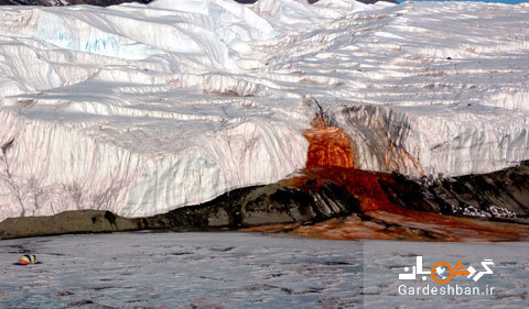 شگفتی آبشار خون در قطب جنوب/تصاویر