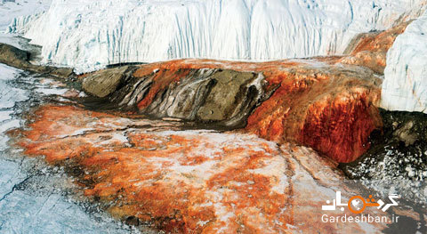 شگفتی آبشار خون در قطب جنوب/تصاویر