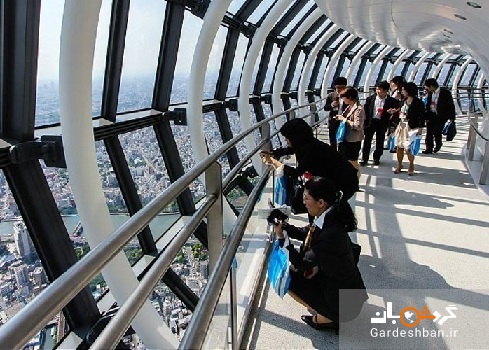 برج اسکای تری در توکیو؛بلندترین برج مخابراتی جهان/تصاویر