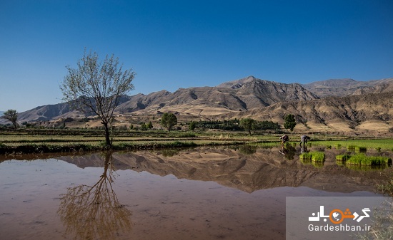 روستای خوش آب و هوای فِشک در استان قزوین/تصاویر