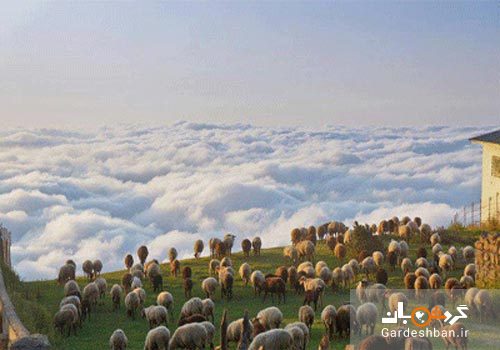 فیلبند؛ بام مازندران یا بهشت ایران/تصاویر