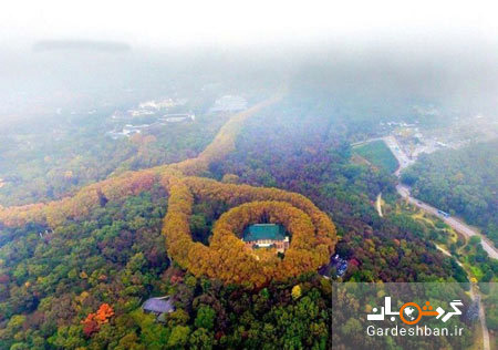 کاخ گردشگری زیبا در چین که شبیه به گردنبد زمرد است/تصاویر