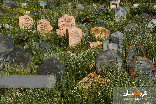 قبرستان جالب و دیدنی سفید چاه در بهشهر +تصاویر