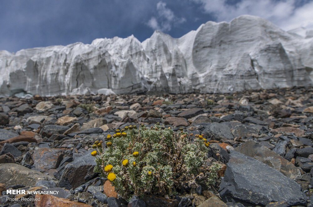 تصاویری حیرت انگیز از یخچال‌های طبیعی تبت‎