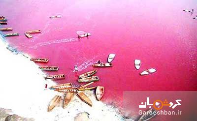 دریاچه رتبا در سنگال؛دریاچه شیر و توت فرنگی!+تصاویر