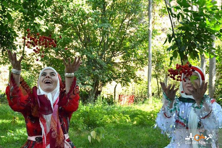 تصاویری دیدنی از جشنواره زغال اخته در کلیبر؛ سرزمین صخره‌ای ایران