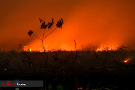آتش سوزی در اندونزی 						 							 						 					 						 							 							 							 						 					آتش سوزی در اندونزیعکس : منابع خارجی