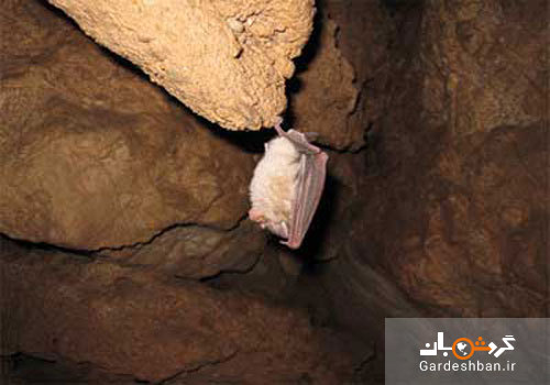 غار گلجیک در ۳۵ کیلومتری جنوب غربی زنجان/تصاویر