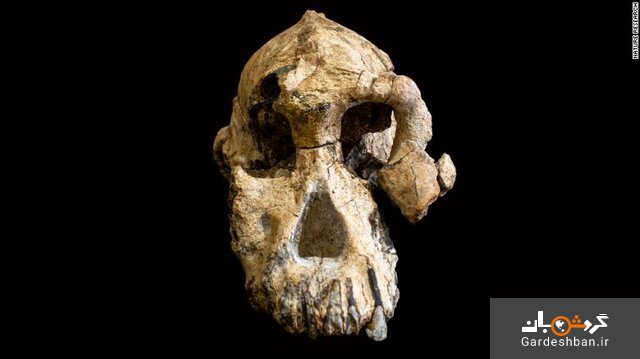 عکس/ چهره قدیمی‌ترین انسان‌های اولیه رونمایی شد