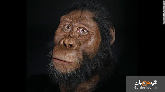 عکس/ چهره قدیمی‌ترین انسان‌های اولیه رونمایی شد