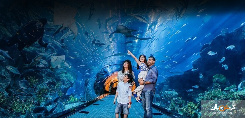 آکواریوم و باغ وحش زیر آبی دبی/تصاویر