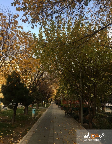 ۵ مسیر پیاده‌روی پاییزی در تهران؛ از «دره جنی» تا خیابان «هزار چهره»