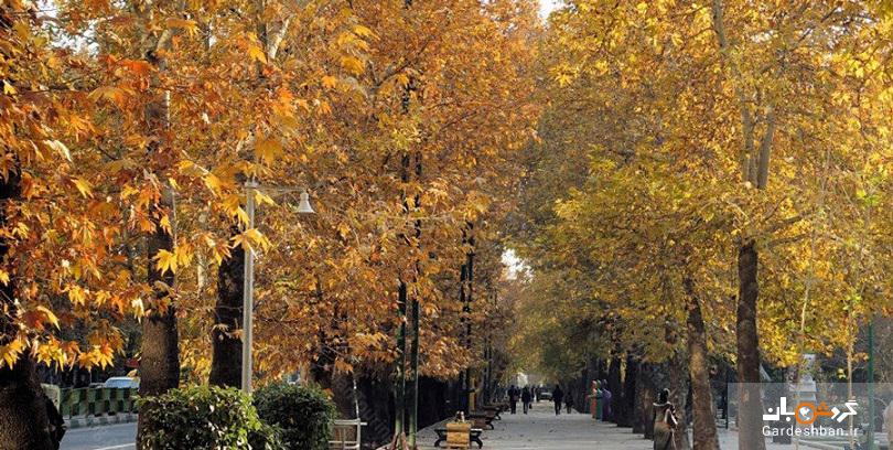 ۵ مسیر پیاده‌روی پاییزی در تهران؛ از «دره جنی» تا خیابان «هزار چهره»