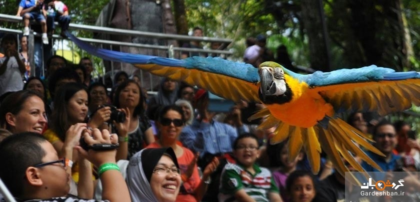 ساعاتی خوش در باغ پرندگان کوالالامپور+تصاویر