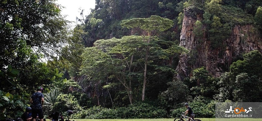 منطقه حفاظت شده بوکیت تیماه؛بلندترین نقطه سنگاپور/تصاویر