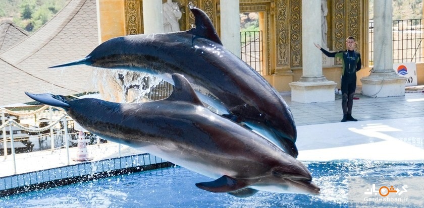 پارک دلفین آدالند در کوش آداسی+تصاویر
