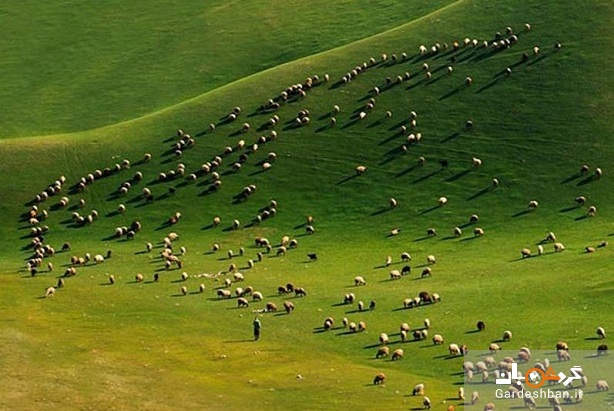 قزقان دره‌؛ روستایی هم مرز با ترکمنستان و با تپه‌های سرسبز+تصاویر