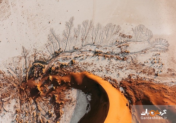 تپه های شنی صحرای نامیب؛زیباترین صحرا در دنیا+تصاویر