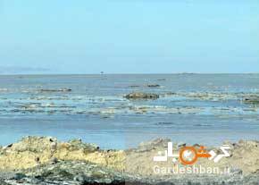 دریاچه نمک آران در شهرستان آران و بیدگل/تصاویر