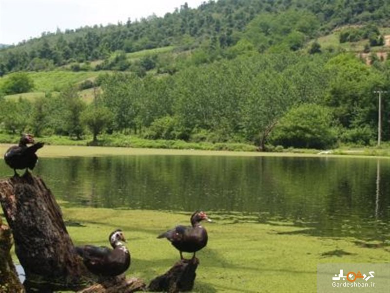 دریاچه حلیمه جان یا دریاچه عروس در شهرستان رودبار+تصاویر