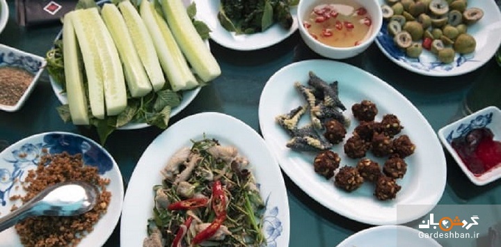 مشهورترین رستوران ویتنام که غذاهایی با گوشت مار سرو می‌کند! + تصاویر