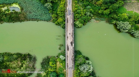 تک عکس / رودخانه بوگ جنوبی اوکراین