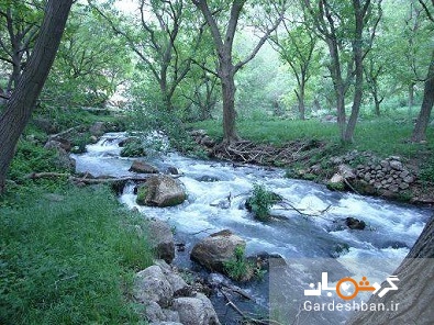 روستای شالان از توابع استان کرمانشاه/تصاویر