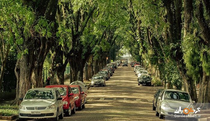 سبزترین و زیباترین خیابان دنیا کجاست؟+تصاویر