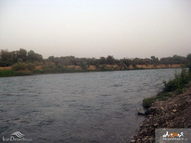 منطقه حفاظت شده كرخه در استان خوزستان/تصاویر